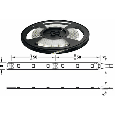 Tira LED 4,8w/metro blanco frio 6500K 5 metros